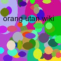 orang utan wiki